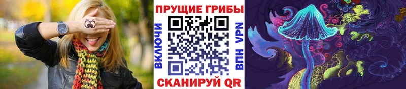 Галлюциногенные грибы Psilocybine cubensis  Североуральск 