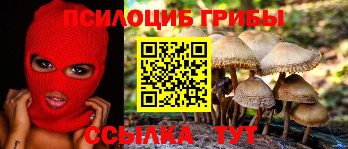 Галлюциногенные грибы Psilocybe  Вход с VPN  Североуральск 